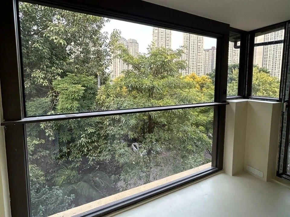 Double Hung Lifting Window